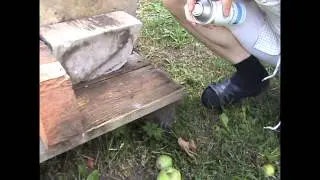 Тест средства AlwaysDry на старом дереве.