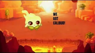🔥INSANE! we got Calibud in Prodigy Math Game!