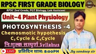 RPSC 1st Grade Biology 2025 | UNIT -IV | Plant Physiology | Photosynthesis - 4 | Dark Reaction