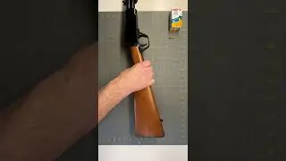 Munitions Minute Rossi Gallery 22lr