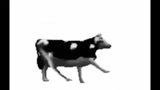 Dancing cow but faster