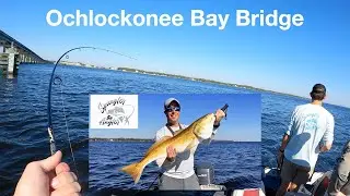 Ochlockonee Bay Bridge (Bridge Monster)