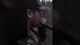 MONSTER BUCK Grunt Call #buckgruntcall #bigbucks #hunting #shorts #youtubeshorts