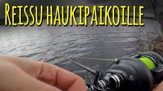 Reissu haukipaikoille ja perhokalastusta tulvaisella koskella | Kalastus 2019