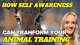 Animal Trainer Self-Awareness:  Hidden Ways Trainers May Be Influencing Animal Behavior