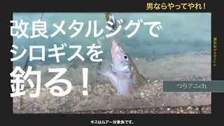 改良メタルジグでシロギスを釣る！キスはルアー対象魚です🤩