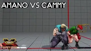 Amano (Nash) vs Makuraeigypu (Cammy) SFV:CE