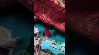 A Royal Kingdom on a Drape 👗 Teal Chinon Saree 👑 #priyuja  #sareelover