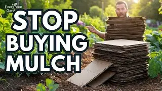🔥The Cardboard Sourcing Trick Smart Gardeners Use for Unlimited Free Mulch🔥