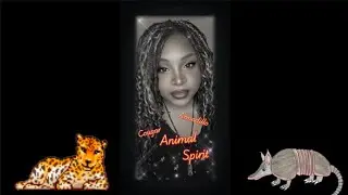 Your spirit animal for this month #intuition #oraclereadingoftheday 