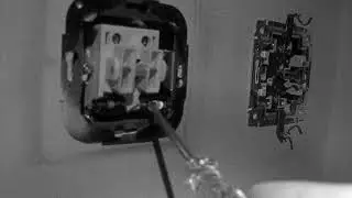 palpaie bec, flickering bulb 3