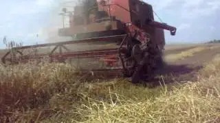 Żniwa Lato 2012=Bizon=Z056=z050=ursusc360
