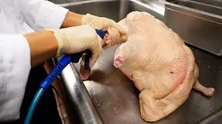 Нью-Йорк еда - Жареная утка & клецки из супа Сохо Нью-Йорк Америка
