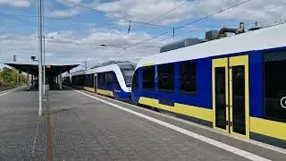 EVB 648 175-7 + 648 179-9 + 648 194-8 - RB 33 Cuxhaven nach Buxtehude - Ausfahrt in Bremerhaven Hbf