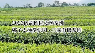 鄭子太極拳即興快閃  2023內湖園區太極拳班  三義有機茶園
