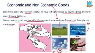 What is Economic and Non Economic Goods ? || Types of Goods అంటే ఏమిటి? || La Excellence