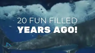 California Shark Diving, Mexico Great White Cage Diving Information