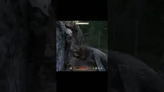KCD II Зарослий кар'єр #gaming #gameplay #games #kcd2 #rdr2 #dbd #humor #rust #pvp  #hogwarts