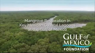 Mangrove Restoration in Key Mexican Coastal Lagoons of the Gulf of Mexico (full video)
