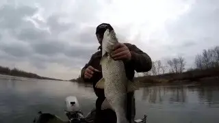 Aspius fishing, Lov boleňa na pr&iacute;vlač