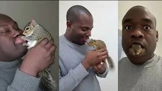 I fell in love with a Squirrel (AI Song)
