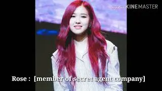 Jenlisa Story | The Secret Agent  |