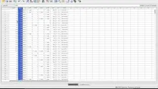 Clusteranalyse in SPSS (1/4)