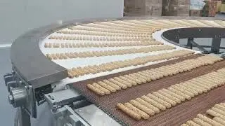 Automatic Food Process Line