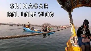 डल झील श्रीनगर – धरती का स्वर्ग | Kashmir Dal Lake Travel Vlog | ऐसी खूबसूरती जो शब्दों से परे है