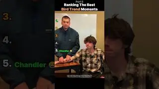 Ranking the FUNNIEST Bird Trend Moments part 5😂 #shorts #birdtrend #funny #tiktok