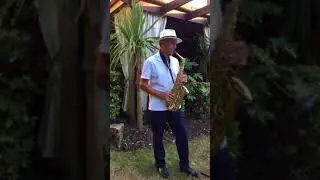 Mark Pitman Saxophonist