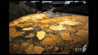 Жизнь уходит 2013 год