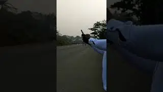An Explosion in Buea Cameroon today 25.02.2023 during the Mount Cameroon race of Hope