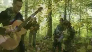 the fig band