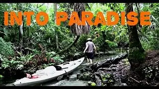 Getting Lost in Florida's Jungle Paradise | Primitive Tim does America ep. 2