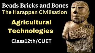Bricks Beads and Bones | agricultural technologies of harappan civilization class 12 | 12th History