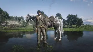 Collecting Albert Mason&rsquo;s Silver Dapple Pinto Missouri Foxtrotter in 90 Seconds, in 4K RDR2 #shorts