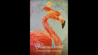 🦩 Jan 24, 2026 The next Spirit Animal Oracle is FLAMINGO ~ Embrace the in-between