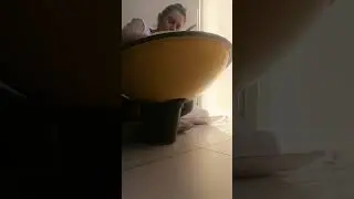 6:55min handpan tuning in, drifting out ...