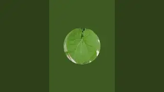 Rajasthani Culture.🥰🥰 is live