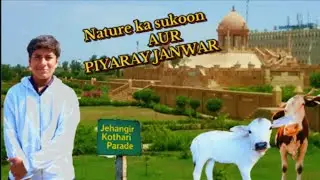 Jehangir Kathuri Parade | Pyare Janwaron Ke Sath Masti & Nature Vlog ❤️❤️