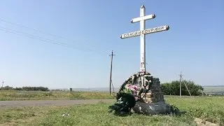 One year on, MH17 evidence against separatists appears overwhelming
