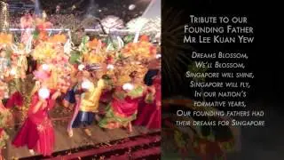 Chingay 2015 Highlights