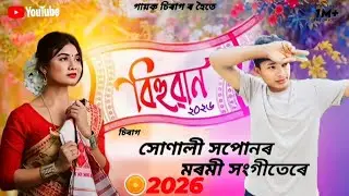 Album সোণালী সপোনৰ মৰমী vol 2 -Assames new lofi//2026.   Happey new  year