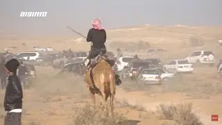 سباق الهجن موروث الاباء والاجداد يعود الى صحراء النقب ،الكاملة،مراسلون،12.01.20