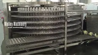 spiral freezing-DSF model sigle-drum spiral freezer