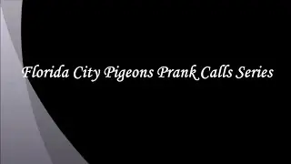 Florida City Pigeons Prank Calls Series (Season 9, Episode 4)