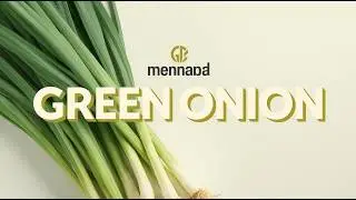 Green Onion Explained: Origins, Nutrition, Farming, and Why This Simple Plant Shapes Global Cuisine