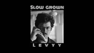 Levyy - Slow Grown (Full EP)