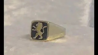 Baltinester Jewelry & Judaica | Come see our 14k Yellow Gold and Onyx Lion of Judah Signet Ring .